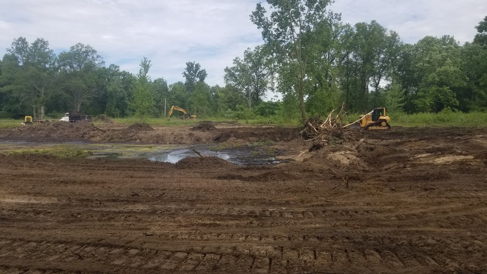 Wetlands Across Ohio • MAD Scientist Associates, LLC