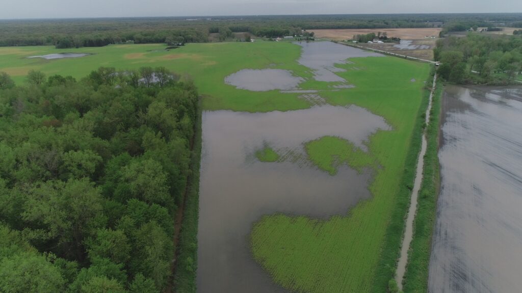 Wetland restoration