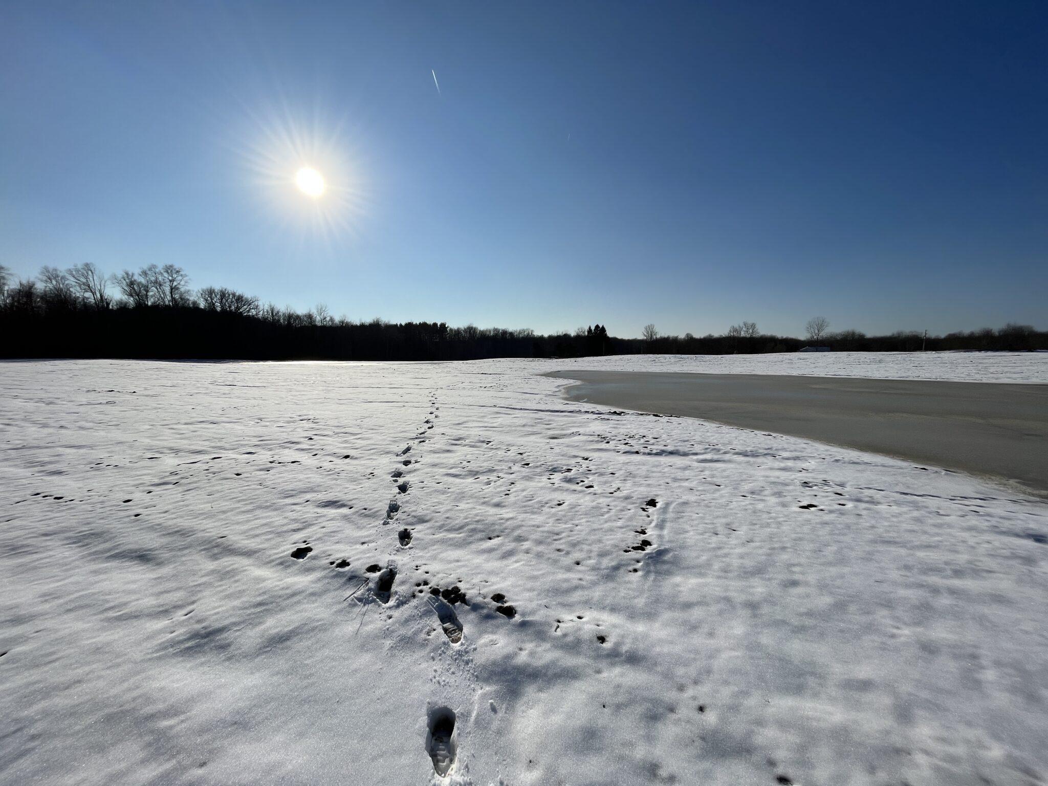 Wetland Construction Underway in Geauga County • MAD Scientist ...